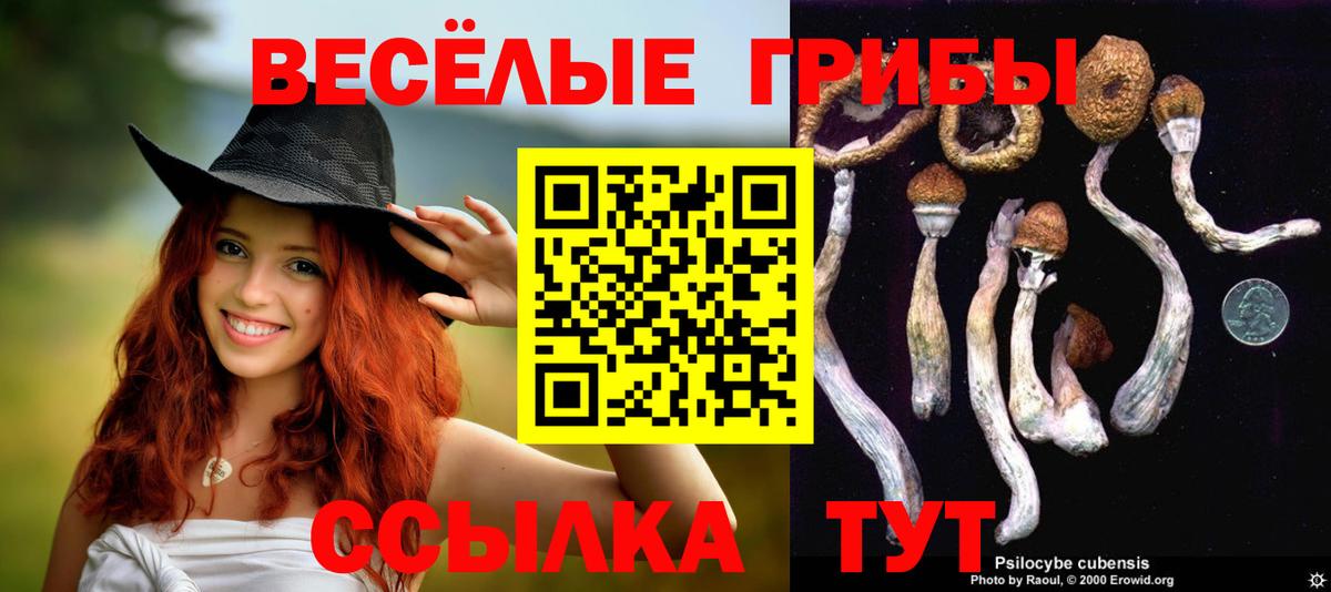 Галлюциногенные грибы Cubensis  Вход с VPN  Майский  сколько стоит  Галлюциногенные грибы Magic Shrooms 