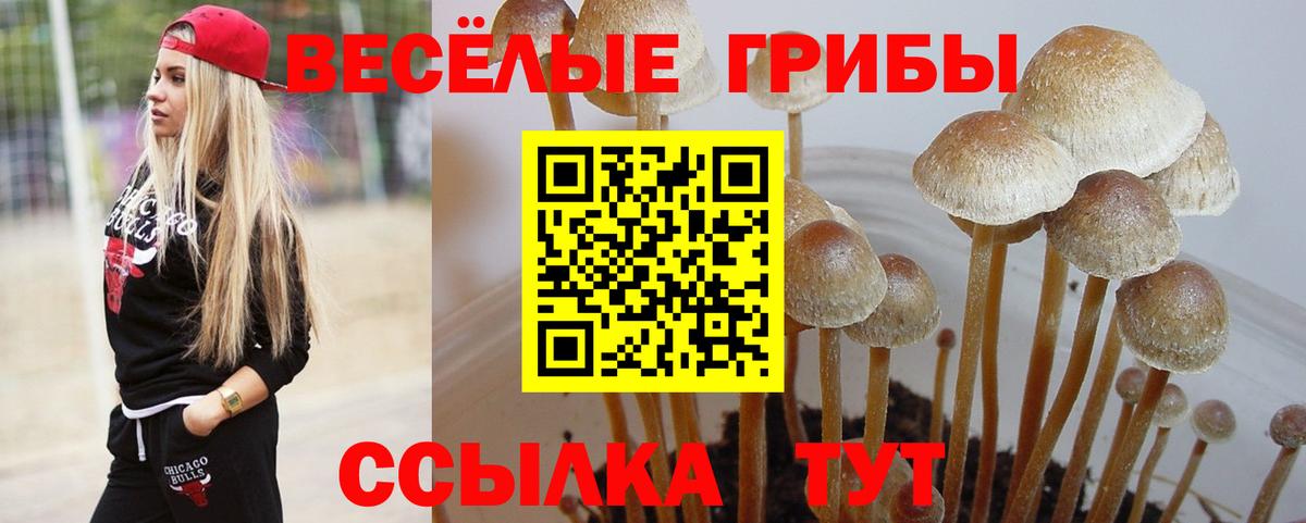 Псилоцибиновые грибы Magic Shrooms Майский